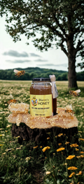650g Honey Jar