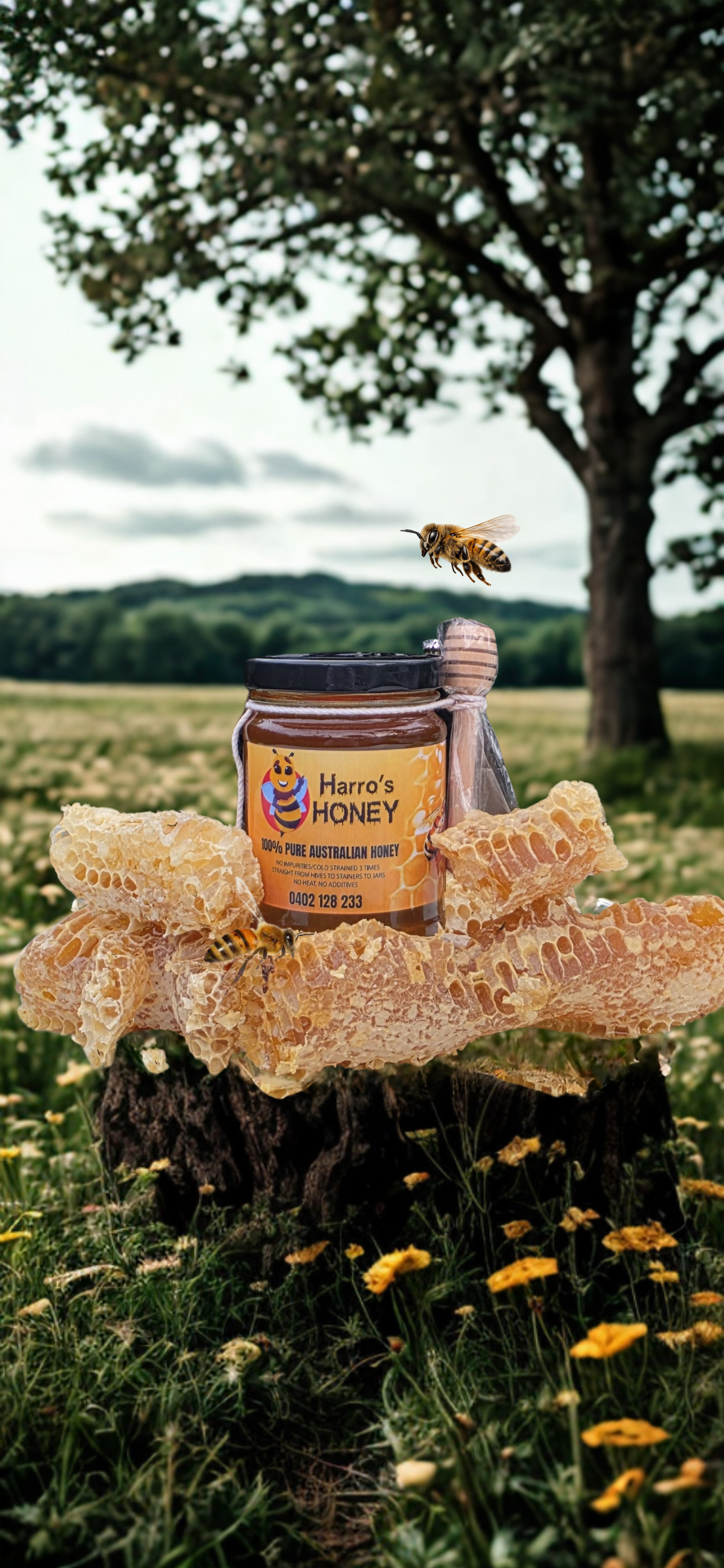 300g Honey Jar